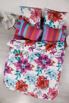 КПБ Френсис поплин 2 сп Евро